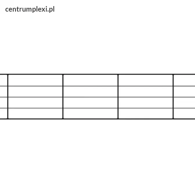Płyta poliwęglan kanalikowy bezbarwny 10 mm / 5
